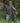 Alpine Jacket | Gunmetal