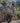 Alpine Jacket | Valo