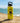 T&C Surf 36 oz Rice Made Rambler Yeti Bottle with Chug Cap