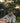Fly By Cap – Brown | Sleek Look, Effortless Style