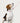 Edikted Pet Leash