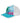 Kids' Sea Turtle Trucker - SALE