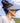 Sunward Visor