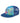 Toddler Hummingbird Trucker - SALE